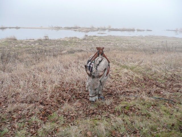 Loire Propre 2012 (3).jpg